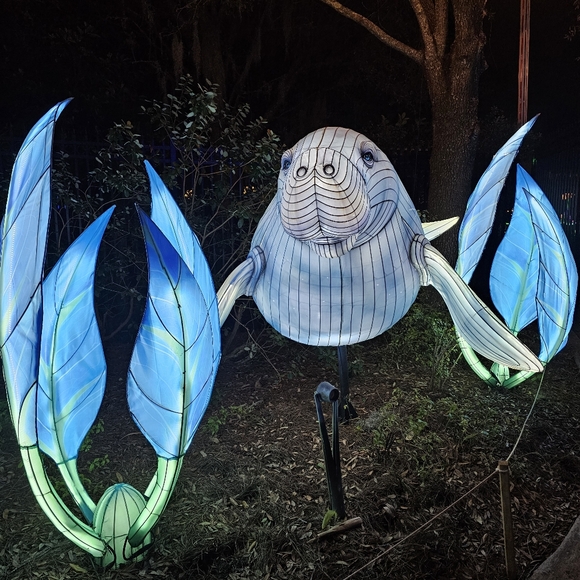 Freedom is not Free - Picture 6 of 7